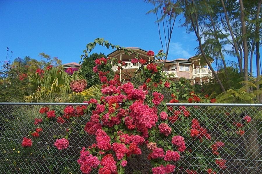 Tranquil Garden Hideaway Apartment Ormeau Bagian luar foto